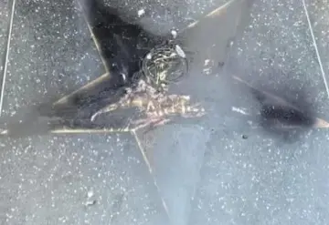 Vandalizan estrella de Jenni Rivera en el Paseo de la Fama de Hollywood