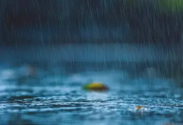 Onda tropical No. 8 originará lluvias intensas en Nayarit, Jalisco, Colima y Michoacán