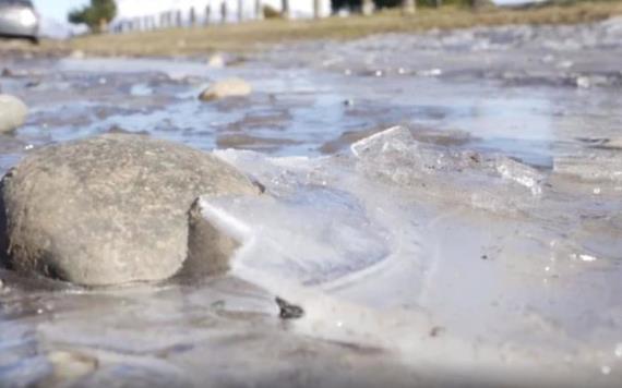 Ola polar en Argentina: Animales congelados por frío extremo