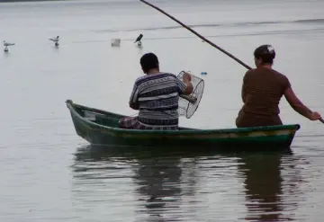 Baja la producción por sobrepesca