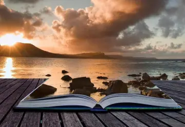 El tiempo que te quede, libro