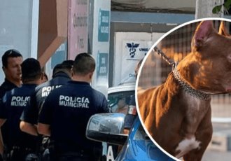 Niña de 4 años murió por ataque de pitbull en Tecomán, Colima