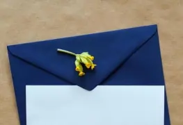 El mensaje...y el mensajero...