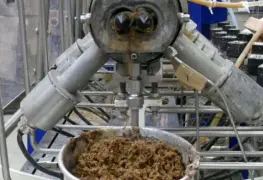 Consiguen biocombustibles del bagazo del agave