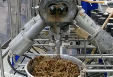 Consiguen biocombustibles del bagazo del agave