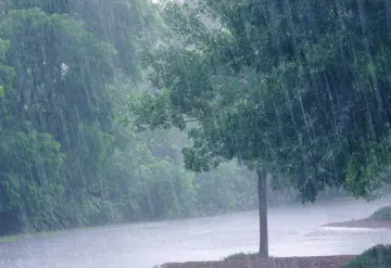 ¡Cuidado con las lluvias! Frente frío y onda tropical afectarán estos estados
