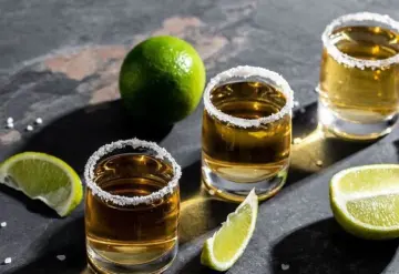 Consumo de tabaco y bebidas alcohólicas puede ocasionar daños cerebrales