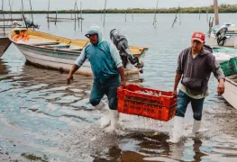 Crítica la situación de la pesca en Paraíso