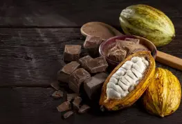 Se acerca la tercera edición de la Feria Nacional de Cacao y Chocolate de Comalcalco
