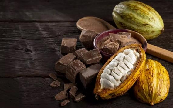 Se acerca la tercera edición de la Feria Nacional de Cacao y Chocolate de Comalcalco