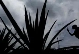 México y Brasil sellan cooperación agroalimentaria y de biocombustibles