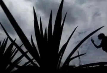 México y Brasil sellan cooperación agroalimentaria y de biocombustibles
