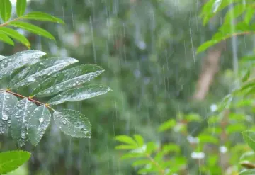 Prevén chubascos y lluvias fuertes acompañadas con descargas eléctricas