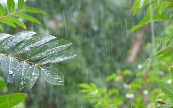 Prevén chubascos y lluvias fuertes acompañadas con descargas eléctricas