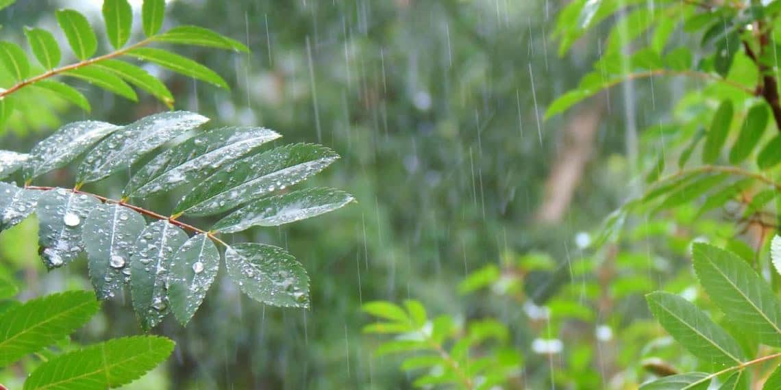 Prevén chubascos y lluvias fuertes acompañadas con descargas eléctricas