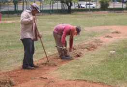 Campeonato Nacional de béisbol de la categoría 15-16 años