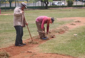 Campeonato Nacional de béisbol de la categoría 15-16 años