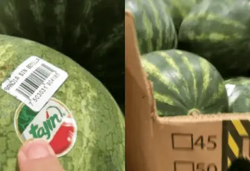 ¿Sandía sabor Tajín? Nuevo producto de Costco se vuelve viral; éste es su precio