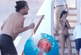 Leonardo DiCaprio es ATACADO por una MEDUSA; éste es el estado de salud del actor