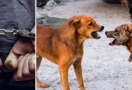 La discusión entre los hombres se dio luego de que sus perros pelearan