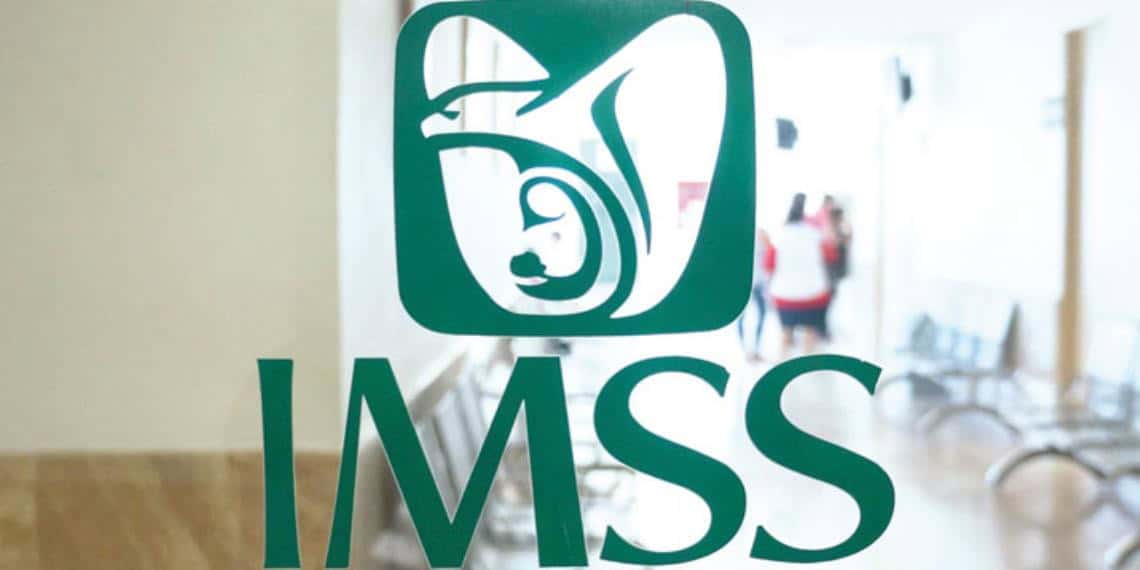 Nuevos Trámites y Servicios Disponibles en el Buzón IMSS