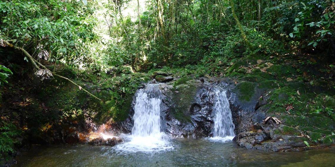 Feminicidio de una mujer rusa en un centro de sanación espiritual en Perú