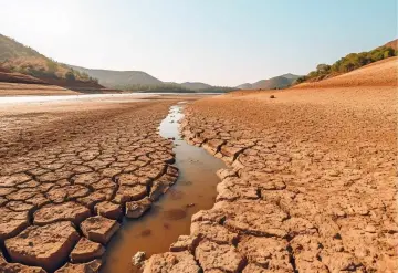 Escases de lluvia seca tres lagunas y mata miles de peces en Chihuahua