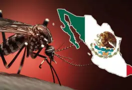 Alerta por mosquitos y piquetes mortales; México reporta aumento de casos de dengue