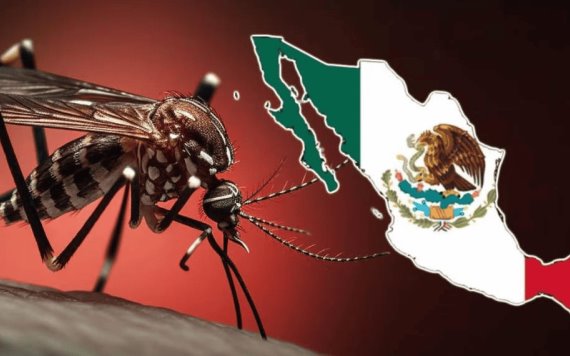 Alerta por mosquitos y piquetes mortales; México reporta aumento de casos de dengue