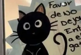 Prohíben la entrada a gatito en el Oxxo porque debe 450 pesos de croquetas que robó