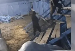 Gradas del Circo de Chol&iacute;n colapsan y dejan siete personas lesionadas en Chiapas