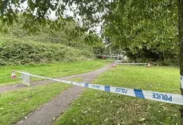 Arrestan a 5 niños por el asesinato de un adulto mayor