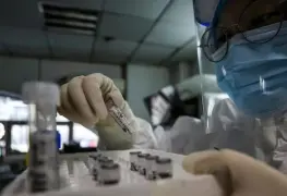 Detectan primer caso de Gripe Aviar sin contacto con animales infectados en EU