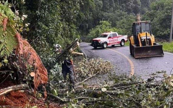 Francine provoca derrumbes en Puebla; se prevén fuertes lluvias