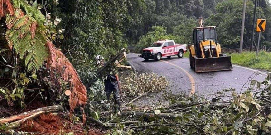 Francine provoca derrumbes en Puebla; se prevén fuertes lluvias