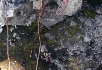 La CFE restableció en su totalidad el servicio eléctrico a los usuarios que resultaron afectados por actos de vandalismo que se presentaron en la infraestructura eléctrica de Villahermosa, Tabasco