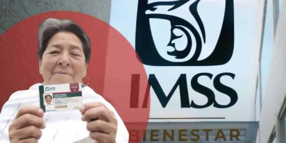 ¿Cómo debe ser la foto para la credencial del IMSS Bienestar?