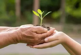 Día Mundial de la Salud Ambiental