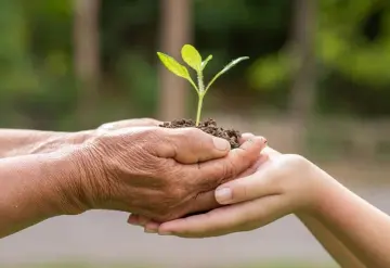 Día Mundial de la Salud Ambiental