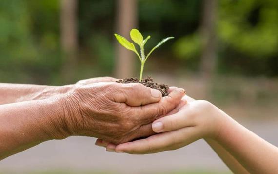 Día Mundial de la Salud Ambiental