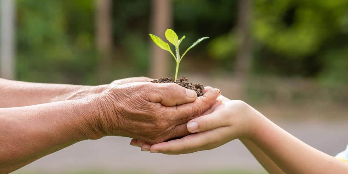 Día Mundial de la Salud Ambiental