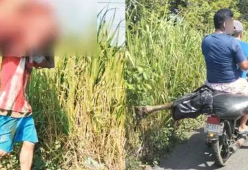 Rapiña: destazan reses de tráiler volcado en la Huimanguillo-Estación Chontalpa