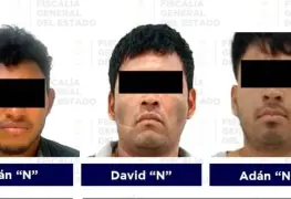 Nueve detenidos por robo con violencia, delitos sexuales y del orden familiar