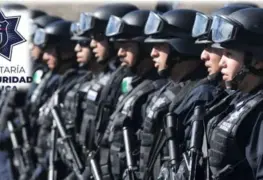 Seguridad pública: necesario fortalecer a las policías locales