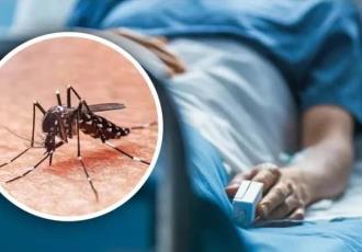 Dengue en Guanajuato suma mil 688 casos; se posiciona en lugar 17 a nivel nacional