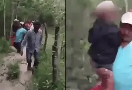 Niño de 9 años se perdió en la selva de Campeche por seis días, dos perros lo cuidaron | VIDEO