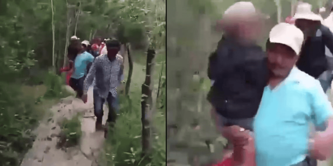 Niño de 9 años se perdió en la selva de Campeche por seis días, dos perros lo cuidaron | VIDEO