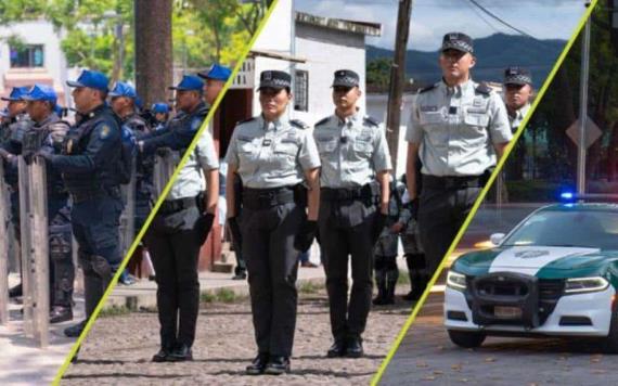 Seguridad pública y seguridad nacional; cuando el último recurso se convierte en el primero