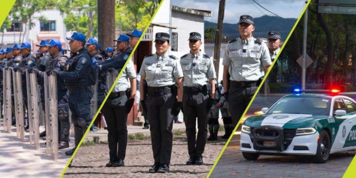 Seguridad pública y seguridad nacional; cuando el último recurso se convierte en el primero