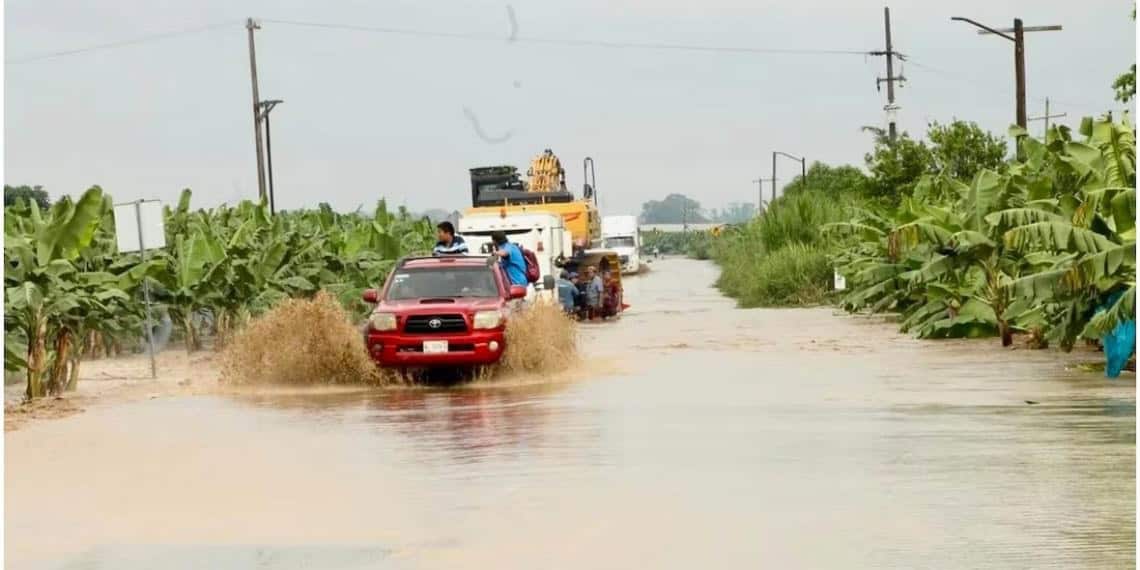 Gobierno de Tabasco implementa acciones tras paso de Tormenta Tropical "Nadine"; hay 3 municipios afectados